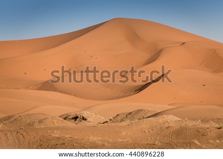 canaria merzouga chebbi