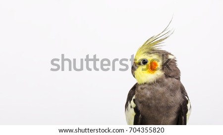 Victoria Shapiro’s Portfolio on Shutterstock