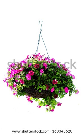 Hanging-flower-basket Stock Images, Royalty-Free Images & Vectors