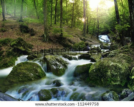 forest waterfall and rocks covered with moss 