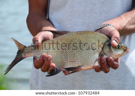 Fisherman holding a big bream catching in river - stock photo