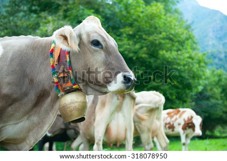 Cowbell Stock Images, Royalty-Free Images & Vectors | Shutterstock