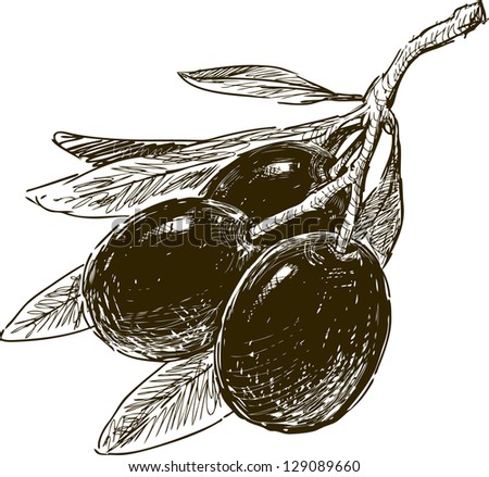 Olives Isolated Stock Vectors & Vector Clip Art | Shutterstock