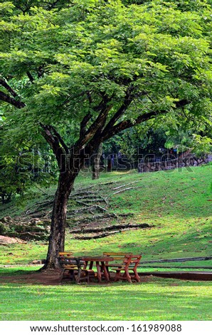 stock-photo-rest-place-under-big-tree-16