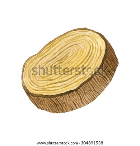 Tree Rings Watercolour Illustration Vector Hand Stock Vector 256458649