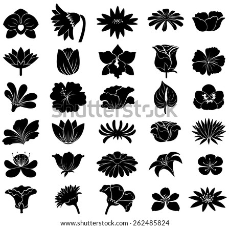Floral Ornament Stock Vector 105959042 - Shutterstock
