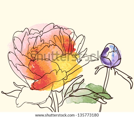 Vector decorative watercolor image peony flowers - stock vector