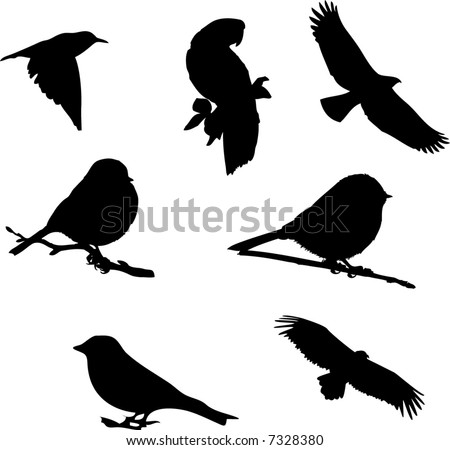 Bird Silhouettes Stock Vector 7328380 - Shutterstock