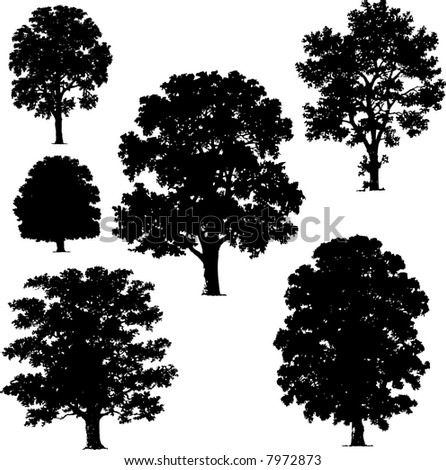 Collection Pine Trees Stock Vector 7926631 - Shutterstock