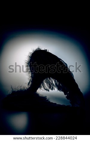 a fallen angel essay a fallen angel essay