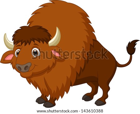 Bull Bison Fighting Stock Photos, Images, & Pictures | Shutterstock