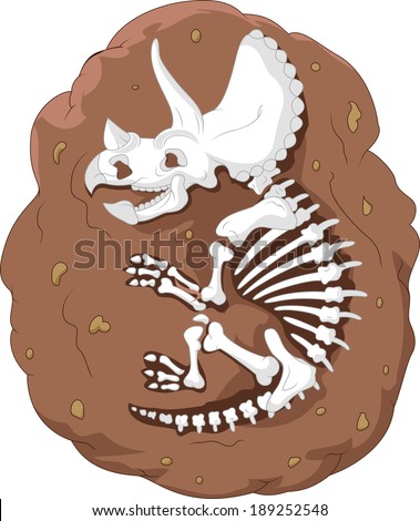 Fossil Stock Photos, Royalty-Free Images & Vectors - Shutterstock