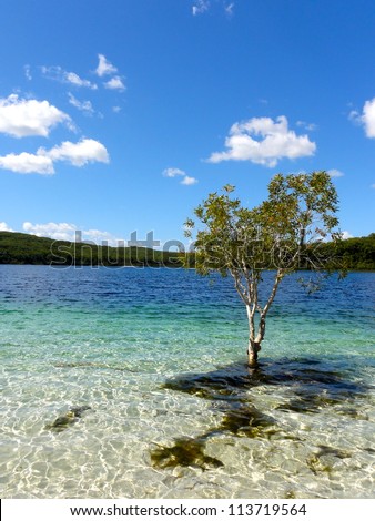 tobermory buddhist singles Tags: buddhism buddhist aug 10 - 23, 2018 (14 days) this two-week all-in retreat (optional third week included) is for families who want a good and open atmosphere (back) in their home. tobermory buddhist singles Tags: buddhism buddhist aug 10 - 23, 2018 (14 days) this two-week all-in retreat (optional third week included) is for families who want a good and open atmosphere (back) in their home.