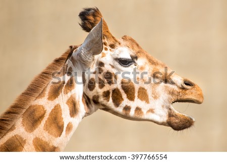 Jlrphotography's Portfolio On Shutterstock