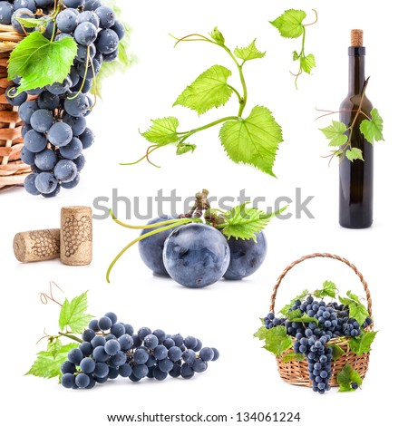  - stock-photo-collection-of-dark-grapes-bottle-and-cork-isolated-on-white-background-134061224