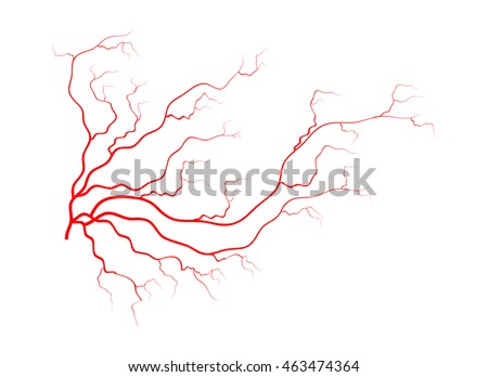Vein Stock Images, Royalty-Free Images & Vectors | Shutterstock