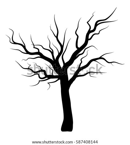 Tree Silhouette Isolated On White Stock Vector 119985433 - Shutterstock