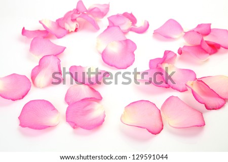 Red Rose Petals Scattered On White Stock Photo 27031594 - Shutterstock