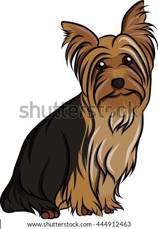 Yorkie Stock Images, Royalty-Free Images & Vectors | Shutterstock