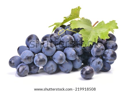 http://thumb1.shutterstock.com/display_pic_with_logo/1425827/219918508/stock-photo-blue-grape-219918508.jpg