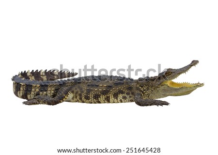 heartless stock images royalty free images vectors heartless stock images royalty free images vectors