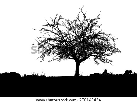 Dead Tree Stock Photos, Images, & Pictures | Shutterstock