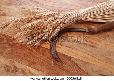 Communication on this topic: French Peasant Flat Bread, french-peasant-flat-bread/ Forum on this topic: French Peasant Flat Bread, french-peasant-flat-bread/