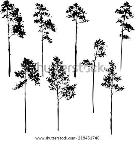 set of pine trees, silhouettes of trees,hand drawn vector illustration