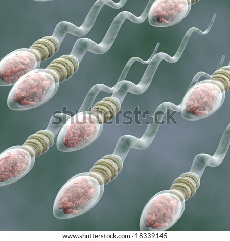 chem-povisit-vizhivaemost-spermatozoidov chem-povisit-vizhivaemost-spermatozoidov
