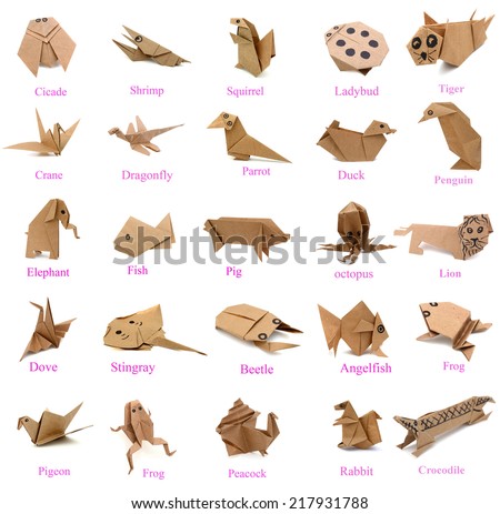 Essay on animals