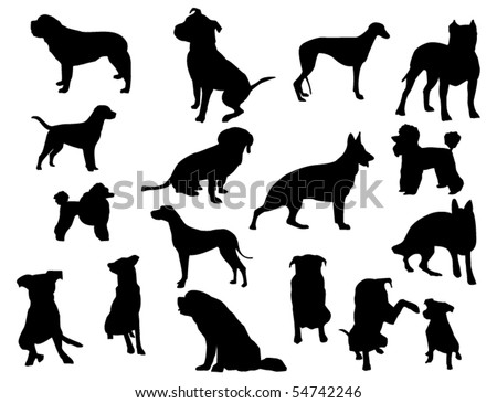 Poodle Silhouette Stock Photos, Images, & Pictures 