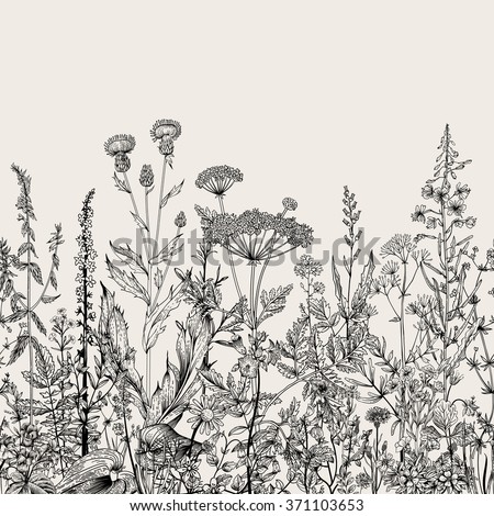 Vector seamless floral border. Herbs and wild flowers. Botanical Illustration engraving style. Black and white - stock vector Vector seamless floral border. Herbs and wild flowers. Botanical Illustration engraving style. Black and white - stock vector