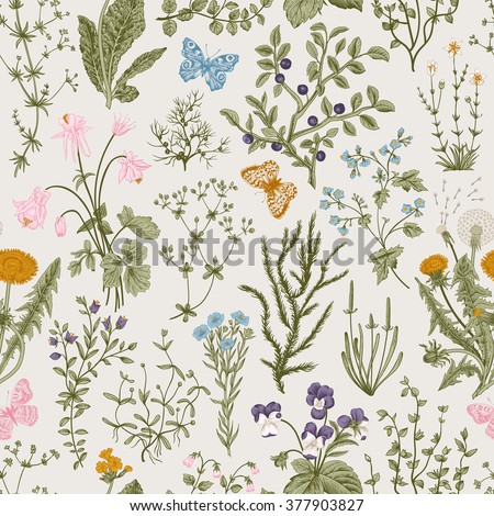 Vector vintage seamless floral pattern. Herbs and wild flowers. Botanical Illustration engraving style. Colorful - stock vector Vector vintage seamless floral pattern. Herbs and wild flowers. Botanical Illustration engraving style. Colorful - stock vector