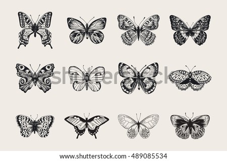 Set of butterflies. Vector vintage classic illustration. Black and white Set of butterflies. Vector vintage classic illustration. Black and white