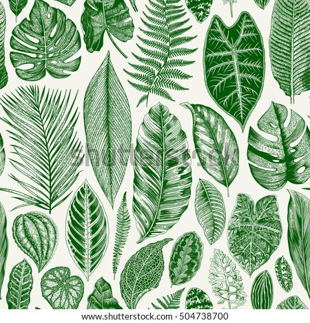 Vector seamless vintage floral pattern. Exotic leaves. Botanical classic illustration. Green Vector seamless vintage floral pattern. Exotic leaves. Botanical classic illustration. Green