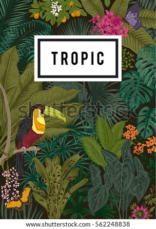 Vector card vintage. Exotic flowers, palm, bird, butterfly. Botanical classic illustration. Colorful Vector card vintage. Exotic flowers, palm, bird, butterfly. Botanical classic illustration. Colorful
