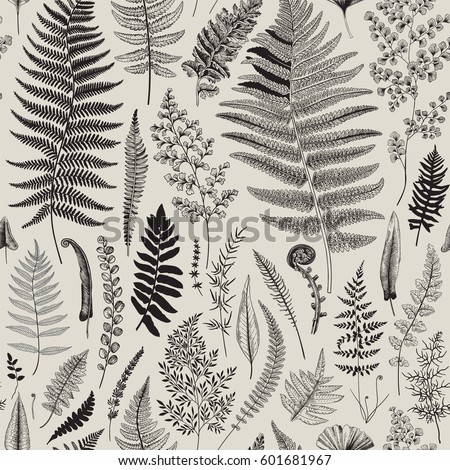 Seamless pattern. Ferns. Vintage vector botanical illustration. Black and white Seamless pattern. Ferns. Vintage vector botanical illustration. Black and white