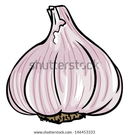 Garlic Stock Vectors, Images & Vector Art | Shutterstock