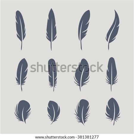 Feather Stock Images, Royalty-Free Images & Vectors | Shutterstock