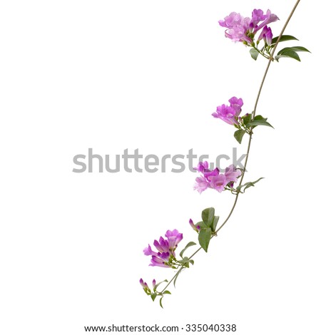 Art Paintings Abstract Rose Buds On A Vine Art Paintings Abstract Rose Buds On A Vine
