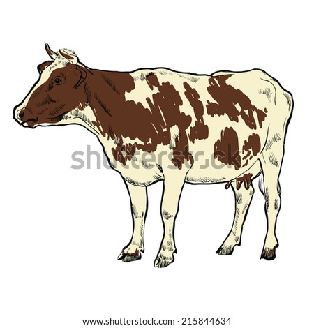 cow figure drawing