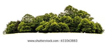 Island Stock Images, Royalty-Free Images & Vectors | Shutterstock