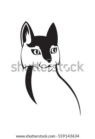 Pussycat Stock Photos Royalty Free Images Vectors Shutterstock