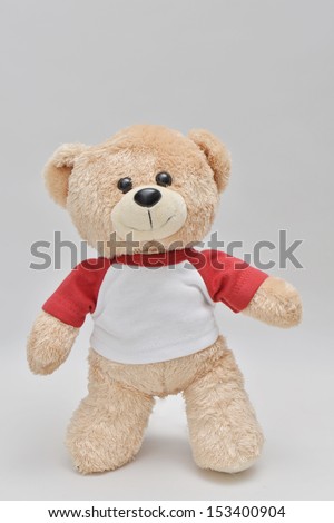 teddy bear standing up