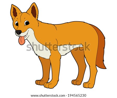 Dingo Cartoon Stock Photos, Images, & Pictures 