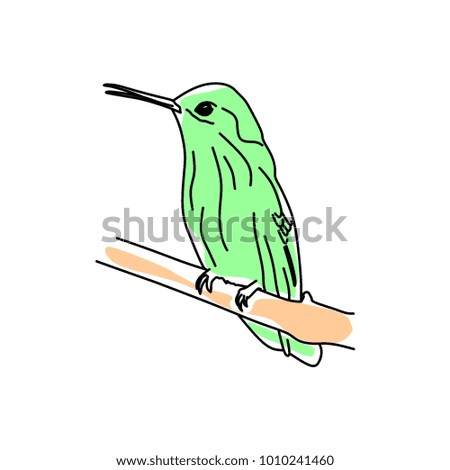 Hand drawn illustration vector Humming bird, Colibri line art with water color. Isolated in white background.