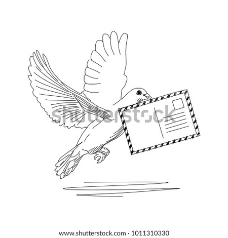Pigeon with postcard line art hand drawn illustration vector. Black and white drawing natural style.