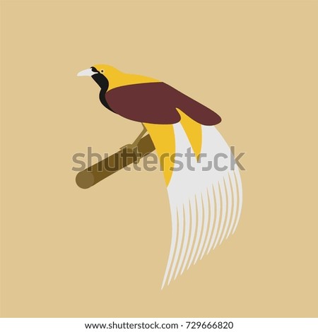 Cendrawasih bird origin from Papua New Guinea