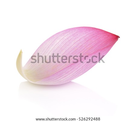 Petal Stock Images, Royalty-Free Images & Vectors | Shutterstock