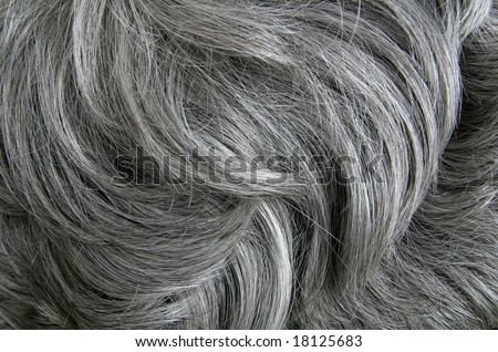 Grey hair - stock photo